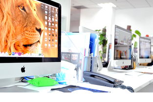 平面设计，不止是美工 在「看准网」上洞察行业趋势与职业发展